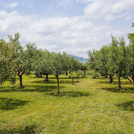 Nomade - Slow Living לינה וארוחת בוקר 4*